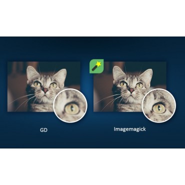 ماژول های مدیریت پرستاشاپنیوزپاور