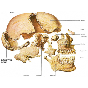 مهندسی پزشکینیوزپاور