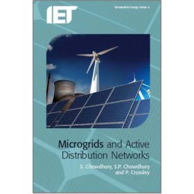 Microgrids and Active Distribution Networks