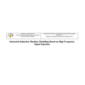 Saturated induction machine modelling based on high frequency signal injection