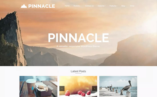 بهترین قالب وردپرس رایگان Pinnacle