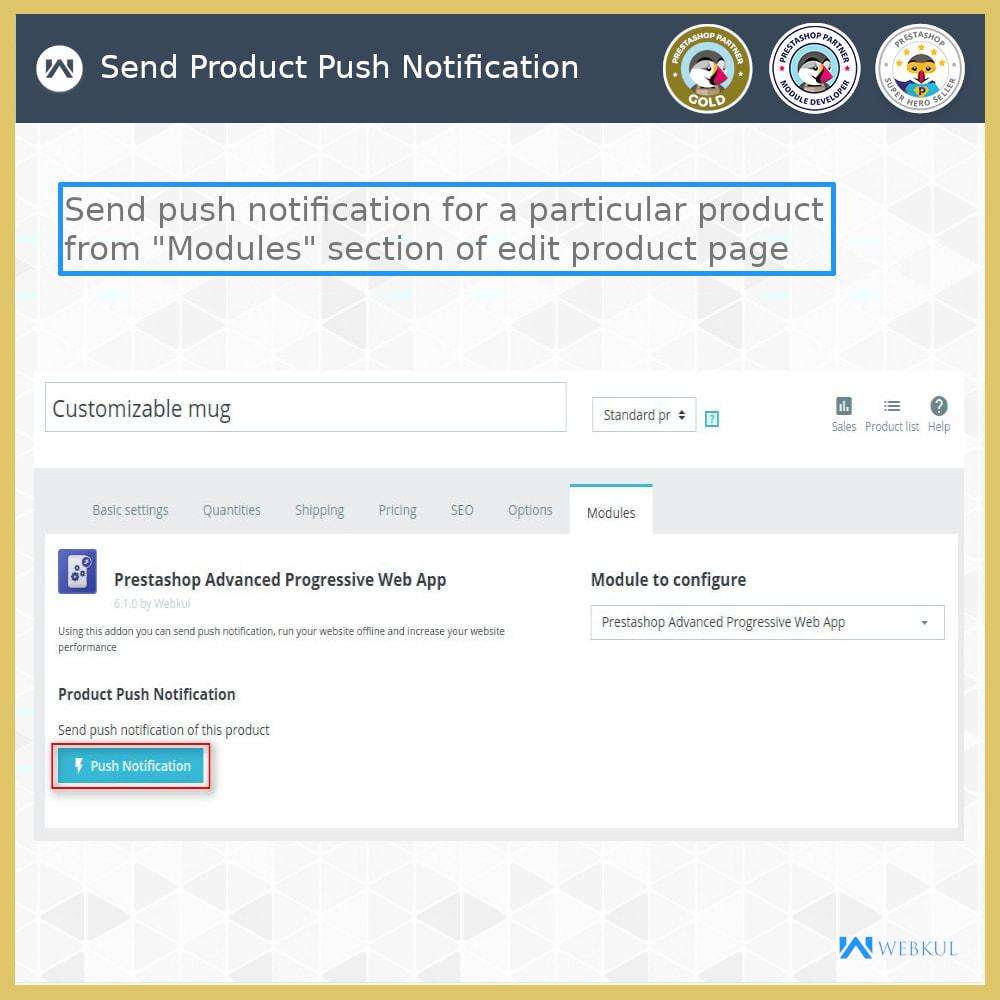 Advance PWA | Offline, Push Notification, App, Firebase Module
