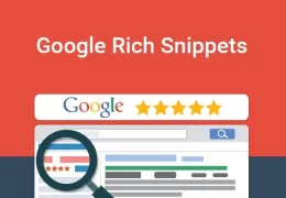 گوگل ریچ اسنیپت چیست ؟